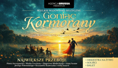 1920x1080 Goniąc kormorany